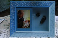 /album/galeria/dsc-0054-jpg/